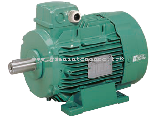 moteur électrique leroy somer